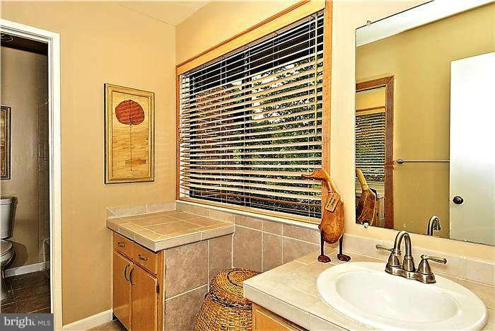 11711 Indian Ridge Road Reston, VA 20191 - Photo 14 of 30 Remodeled Open and Bright Guest Bathroom