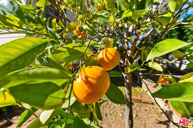 $8,500 | 17117 Weddington Street, Encino, CA 91316