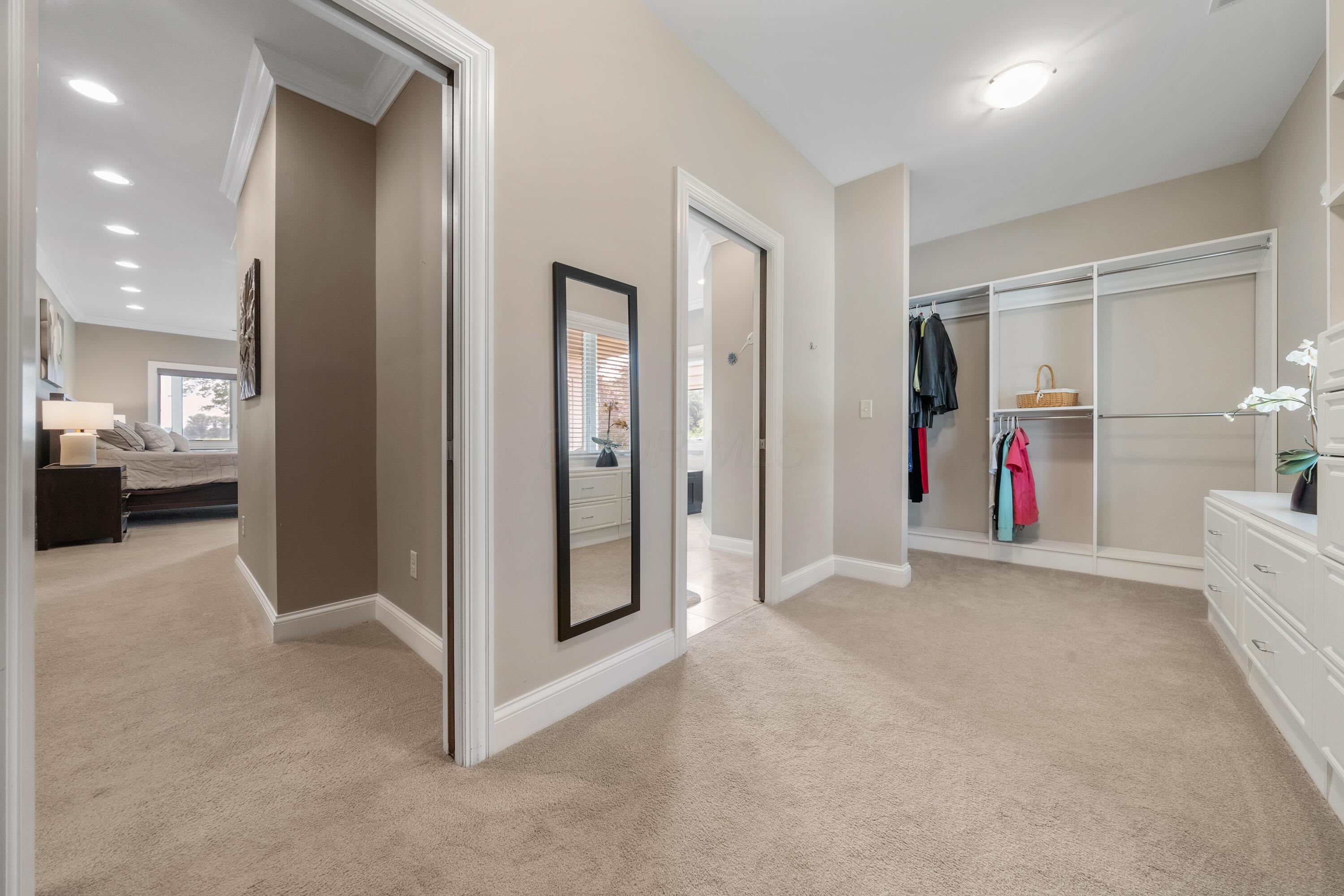 4640 Maynard Road Delaware, OH 43015 - Photo 42 of 91 Expansive walk-in closet featuring white built-in shelving, hanging rods, and a white dresser with multiple drawers