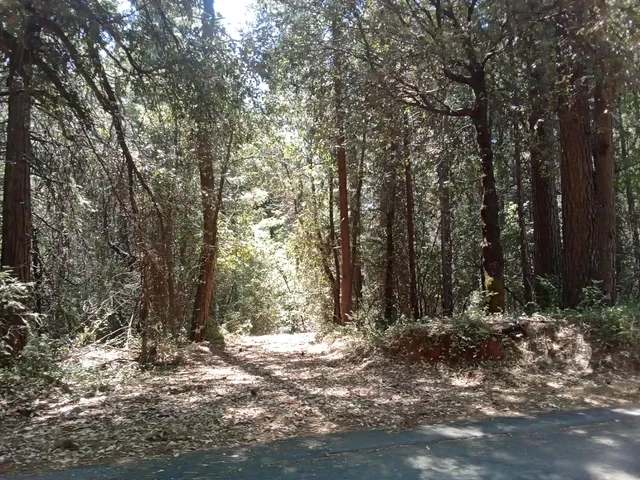 a view of backyard of a house