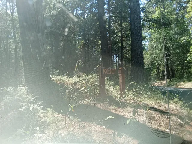 a view of a lake from a yard