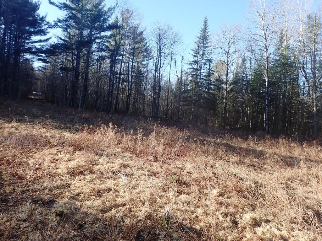 0 Mt Cleveland Road Bethlehem, NH 03574 - Photo 22 of 33