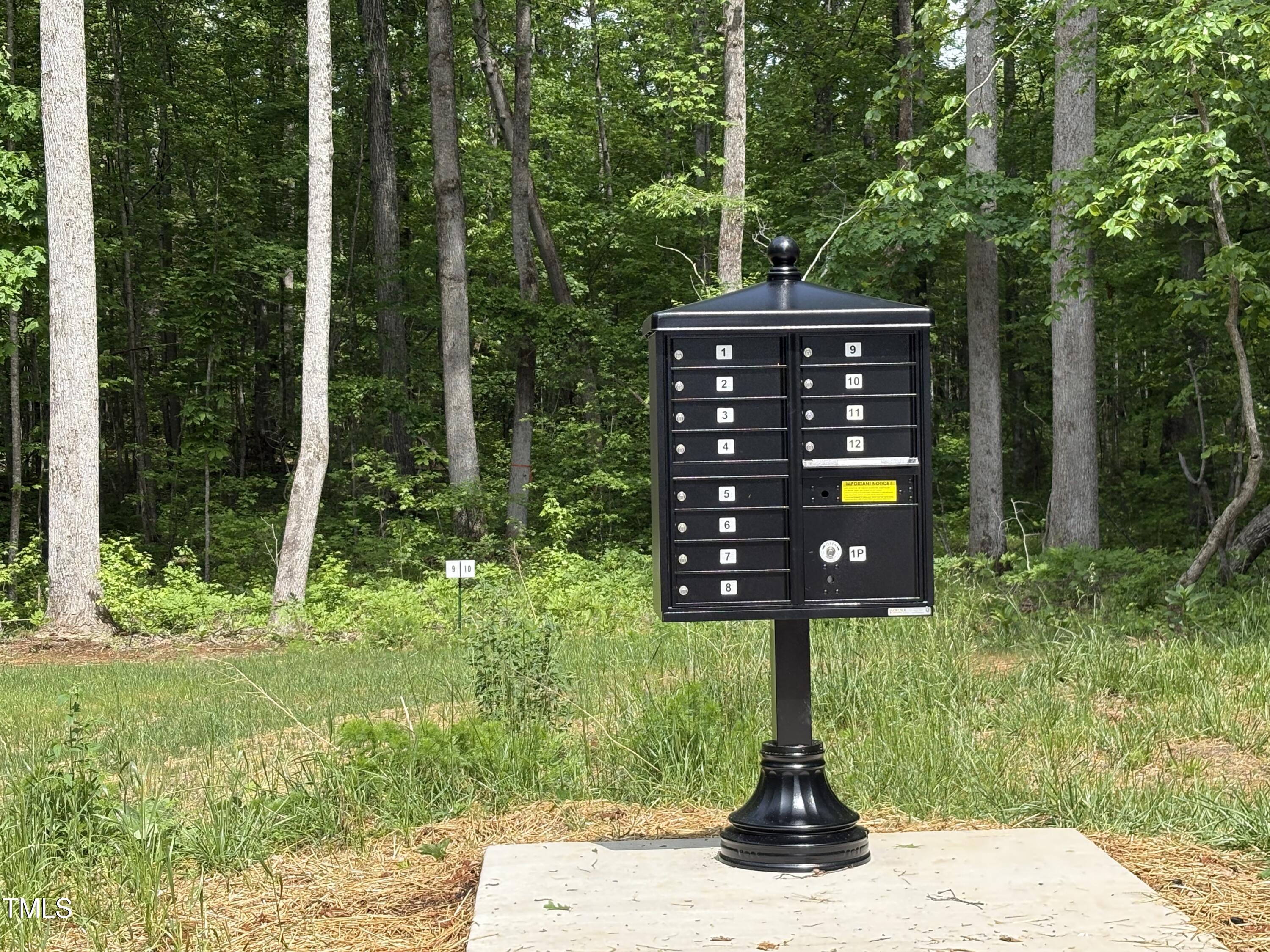 6 Tallulah Loop Cedar Grove, NC 27231 - Photo 16 of 17 a view of a street with potted plants to ceiling window and tree
