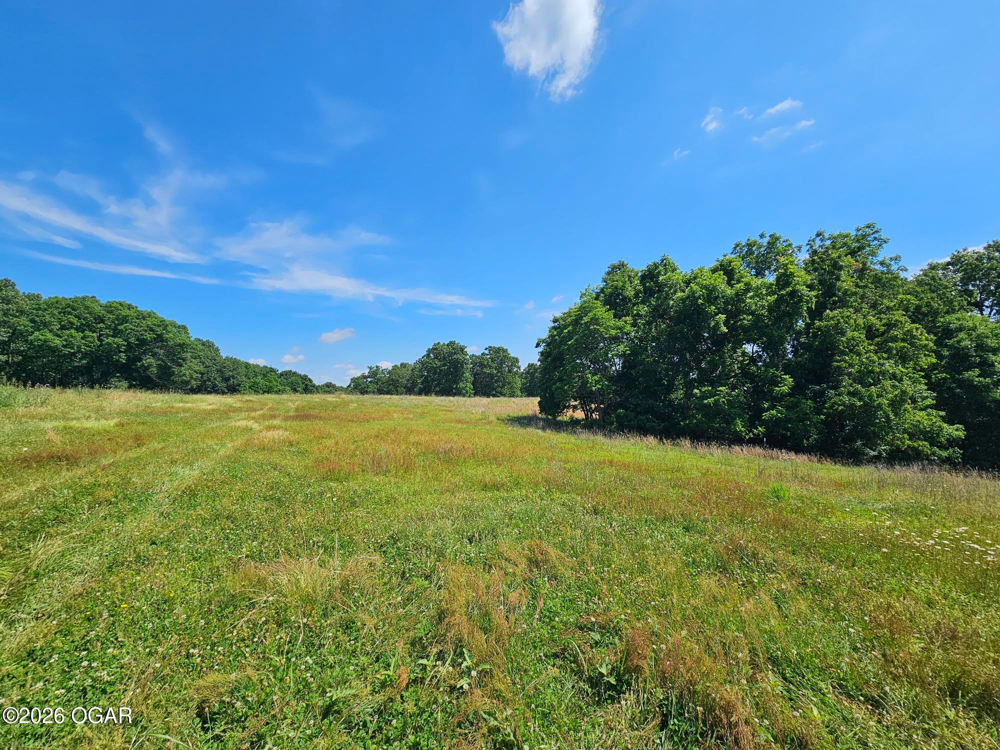 5383 Cowan Ridge Road Powell, MO 65730 - Photo 14 of 33 cowin ridge pic land 2-3