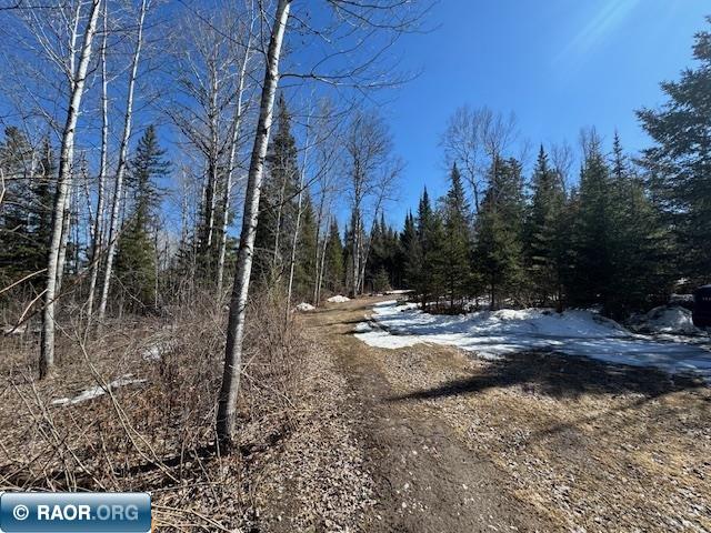 8292 Johnson Road Cook, MN 55723 - Photo 13 of 14