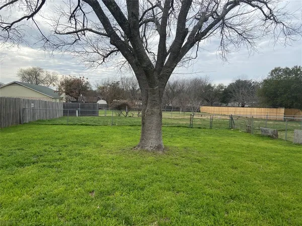 a view of garden with trees