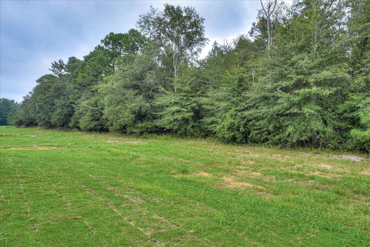 4055 Fringetree Loop New Ellenton, SC 29809 - Photo 34 of 35 35-135