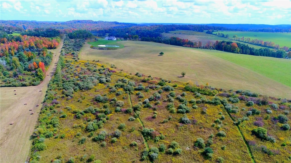 825 Deyo Road Caton, NY 14830 - Photo 3 of 50