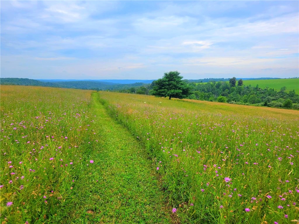 825 Deyo Road Caton, NY 14830 - Photo 39 of 50