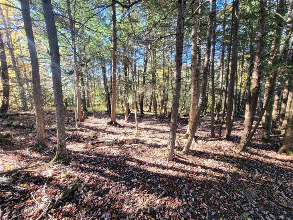 825 Deyo Road Caton, NY 14830 - Photo 40 of 50