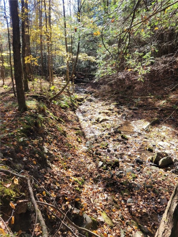 825 Deyo Road Caton, NY 14830 - Photo 41 of 50