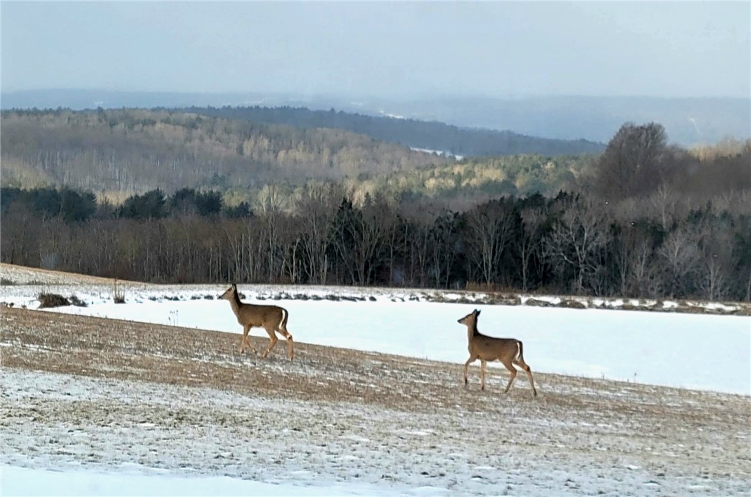 825 Deyo Road Caton, NY 14830 - Photo 47 of 50
