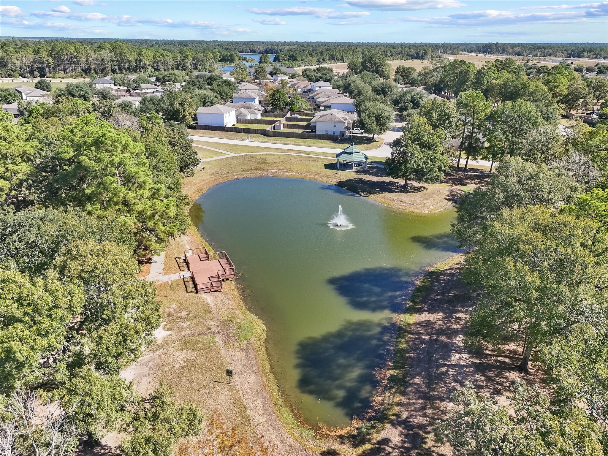 3841 Enchanted Timbers Lane Spring, TX 77386 - Photo 29 of 31