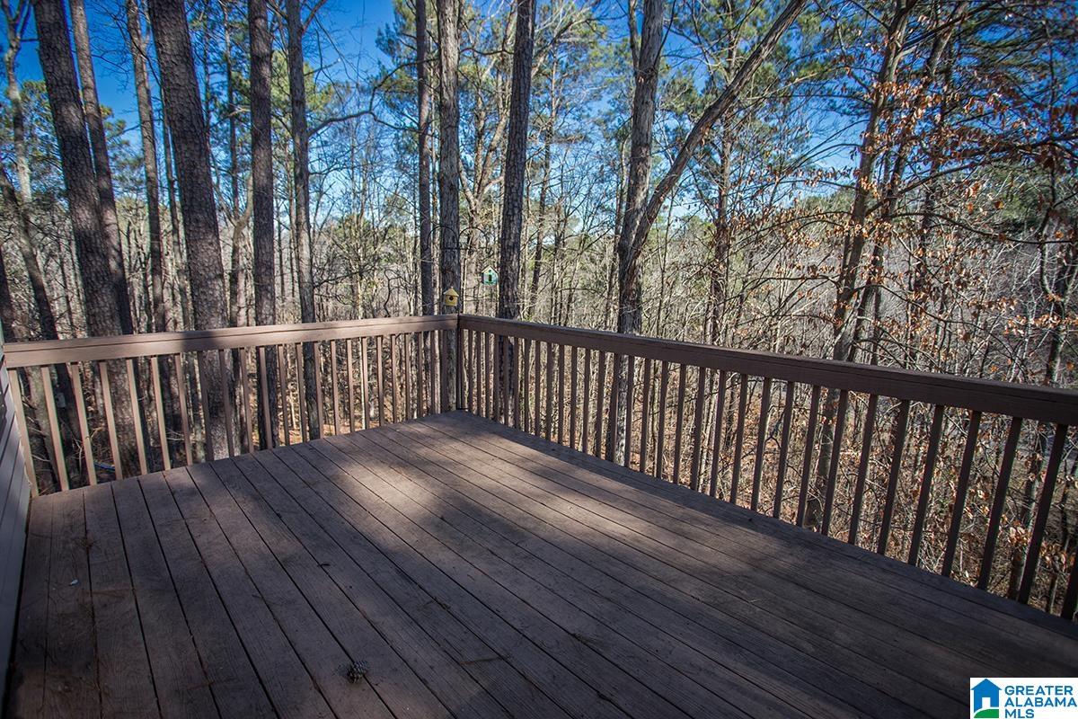 724 Dividing Ridge Drive Birmingham, AL 35244 - Photo 50 of 52