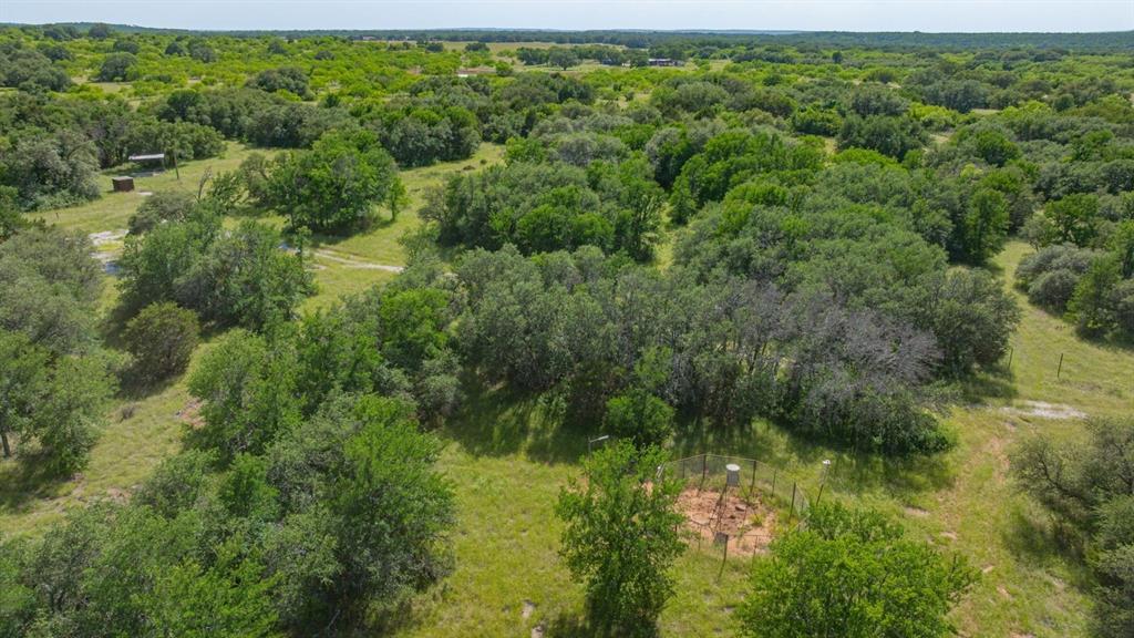 136 Moose Trail Ranger, TX 76470 - Photo 34 of 40 a view of a lush green forest with a street