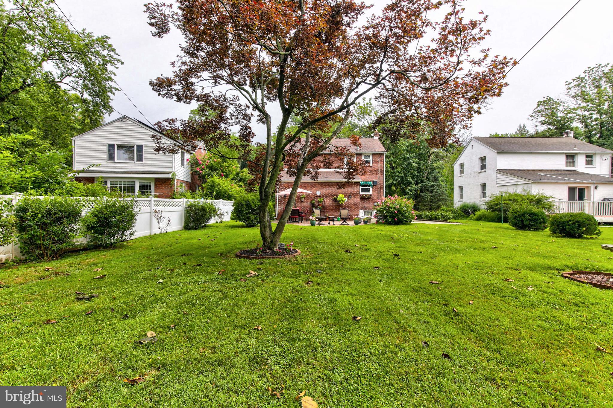 610 West Rolling Road Springfield, PA 19064 - Photo 9 of 34 Look at this back yard!