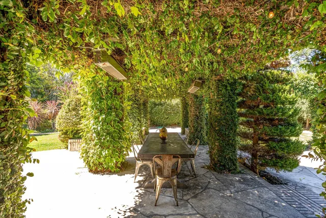 a view of a yard with plants and a bench
