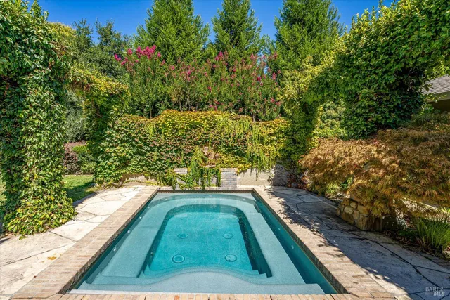 a view of a yard with plants