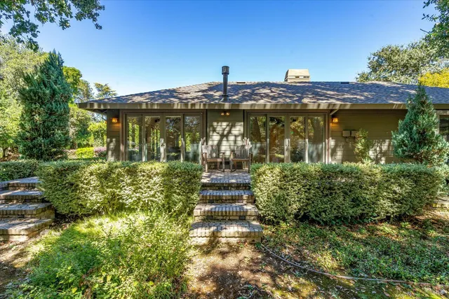 a view of a tree in a yard