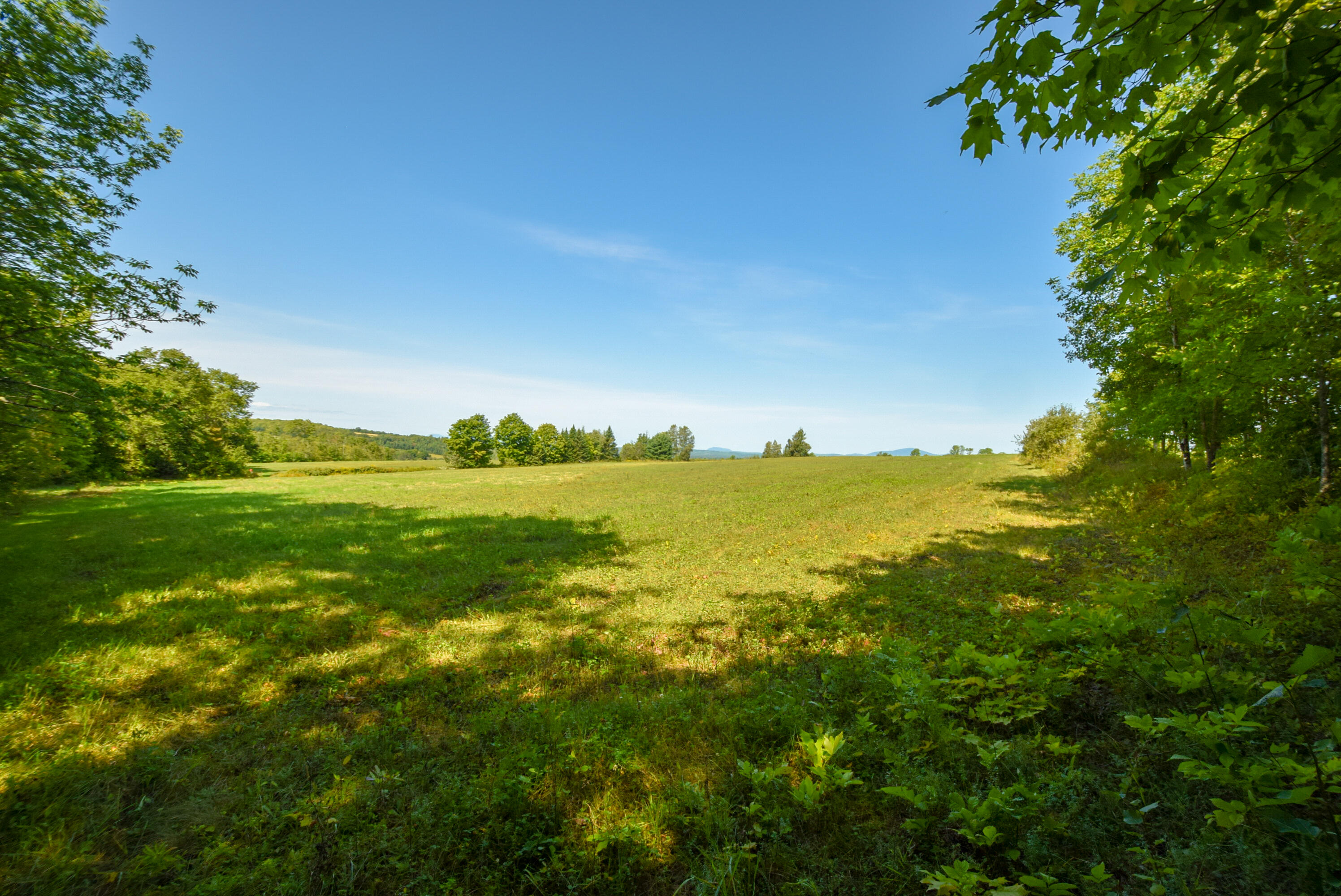 657 Golden Ridge Road Sherman, ME 04776 - Photo 35 of 43 Fertile fields...