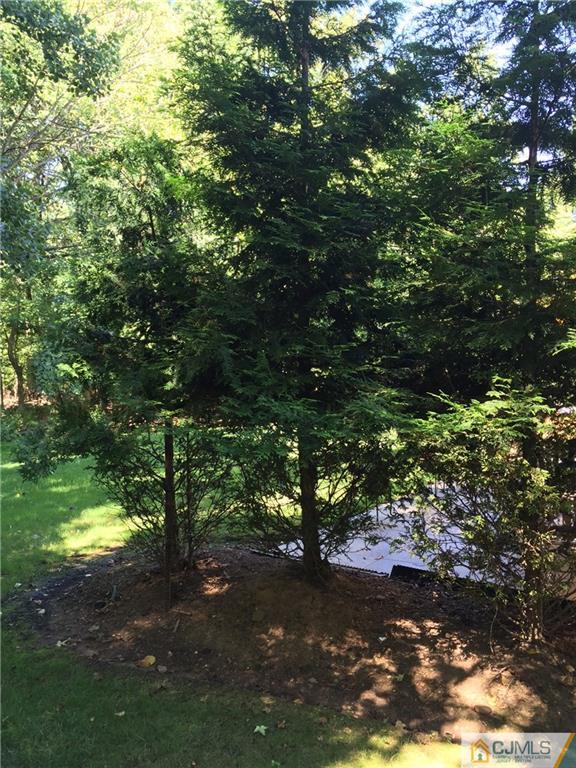 3401 Springbrook Drive Edison, NJ 08820 - Photo 21 of 21 a view of a tree in a yard