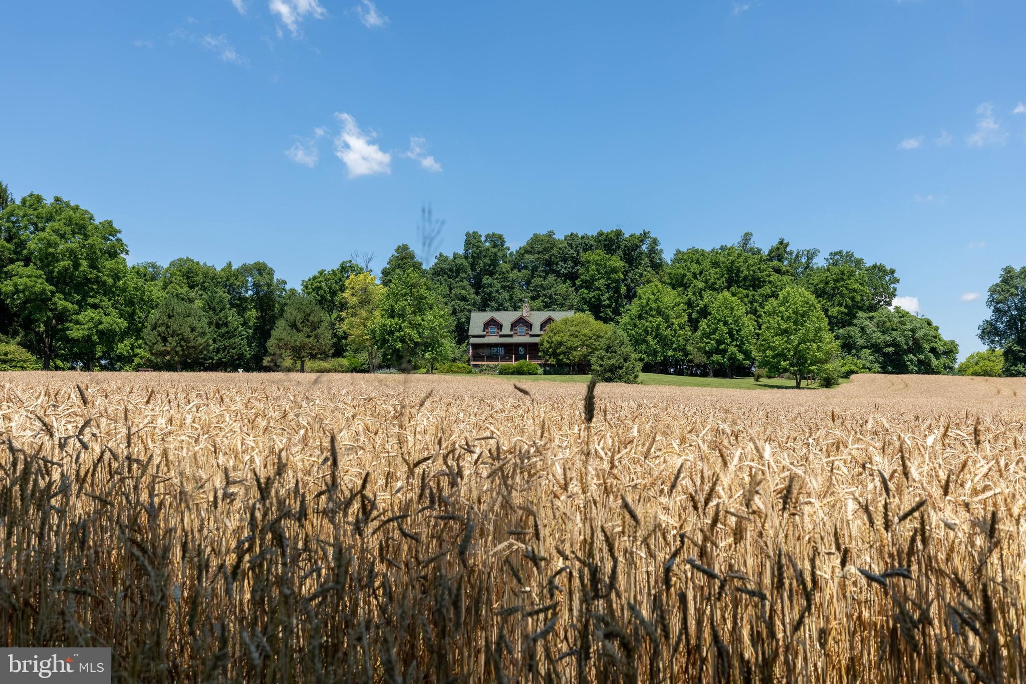 11708 Stocksdale Road Kingsville, MD 21087 - Photo 63 of 76