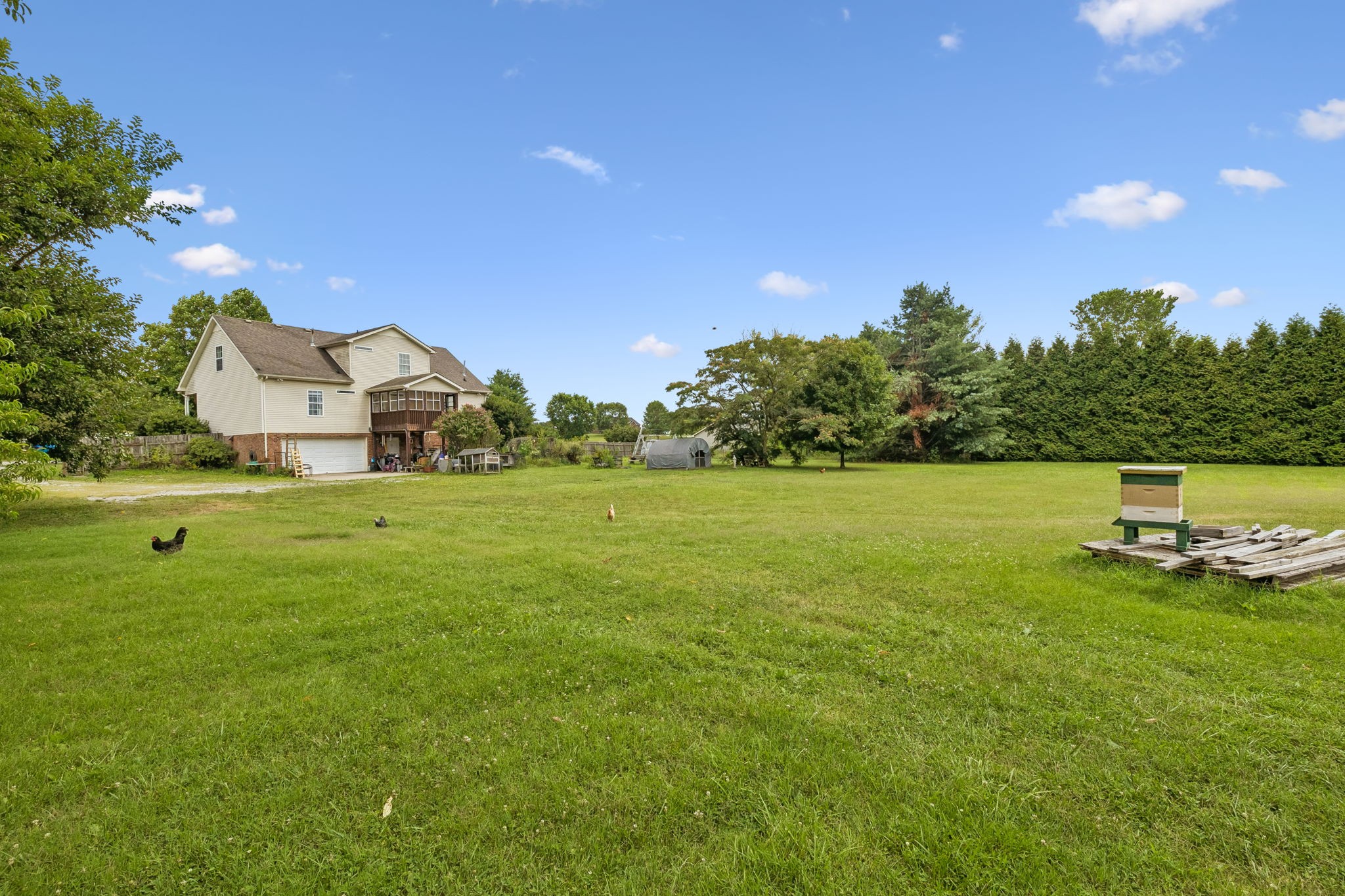 3384 Maxie Jones Road Springfield, TN 37172 - Photo 42 of 66