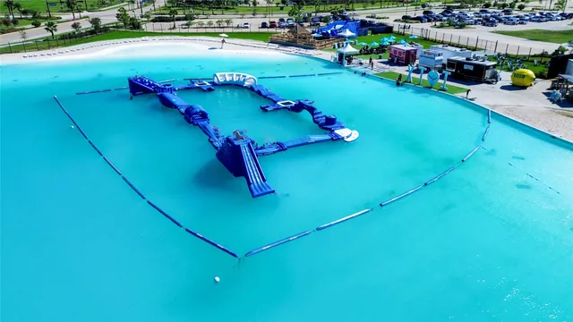 a picture of a room with lots of trees