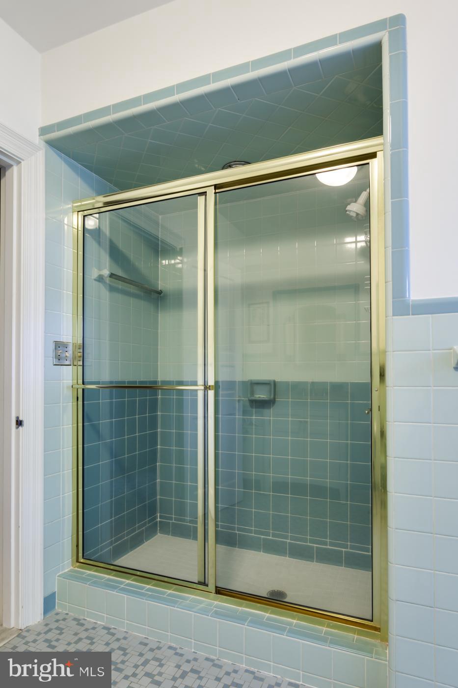 1101 Riverside Drive Salisbury, MD 21801 - Photo 40 of 56 Tub/Shower & Tile Work in Excellent Condition
