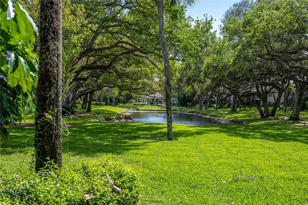 a view of a park with a tree