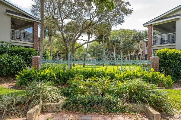 a view of a yard with plants and large trees