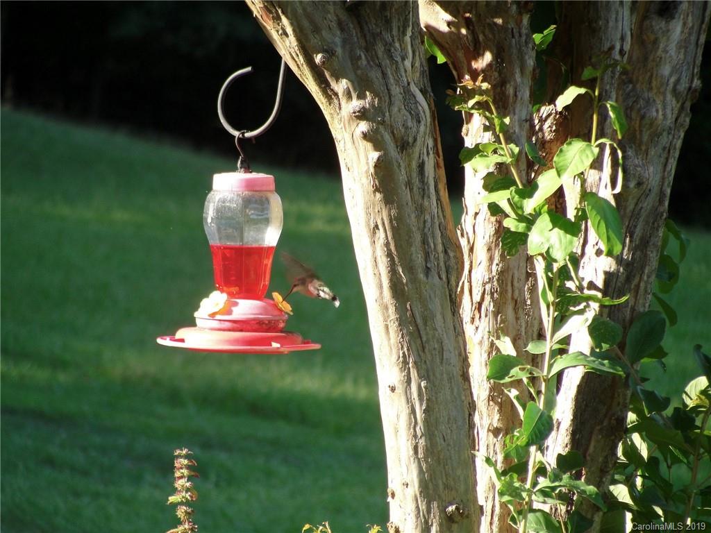 44403 Vickers Store Road Albemarle, NC 28001 - Photo 42 of 47 Gallery Image 42