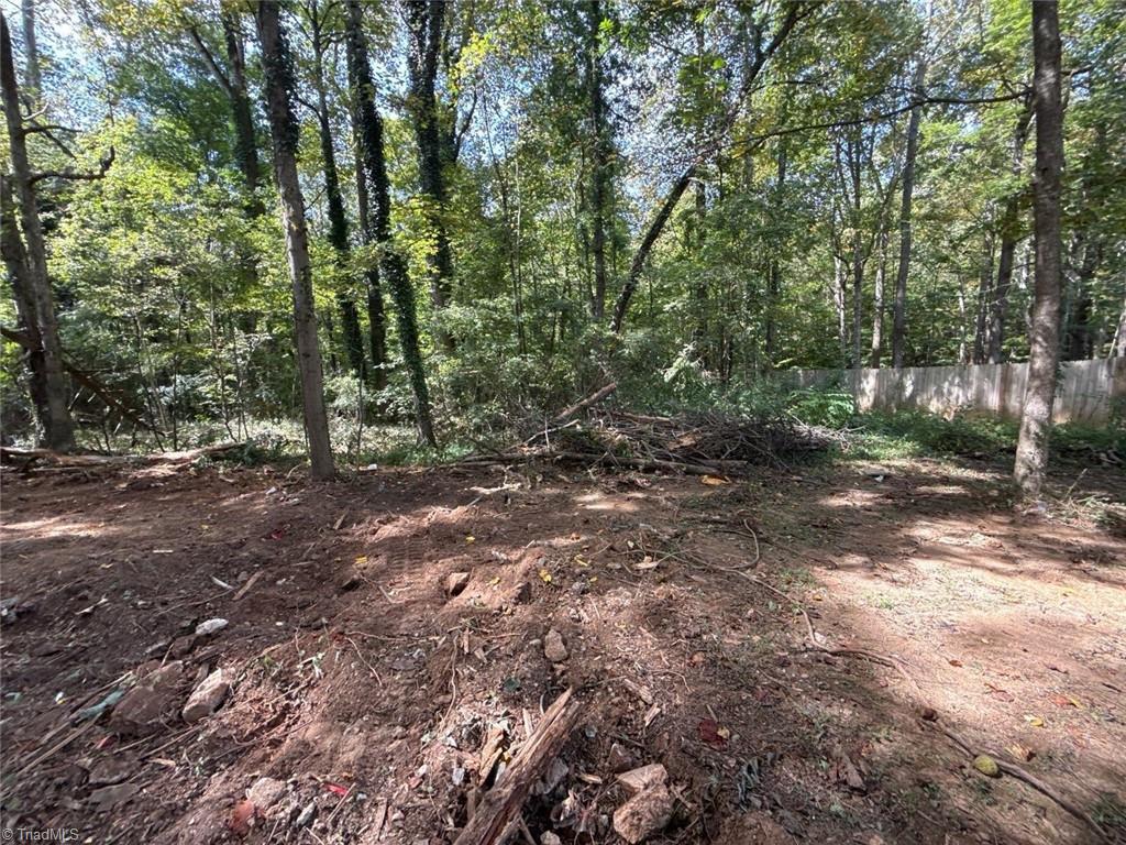 0 Yukon Road Walkertown, NC 27051 - Photo 3 of 10