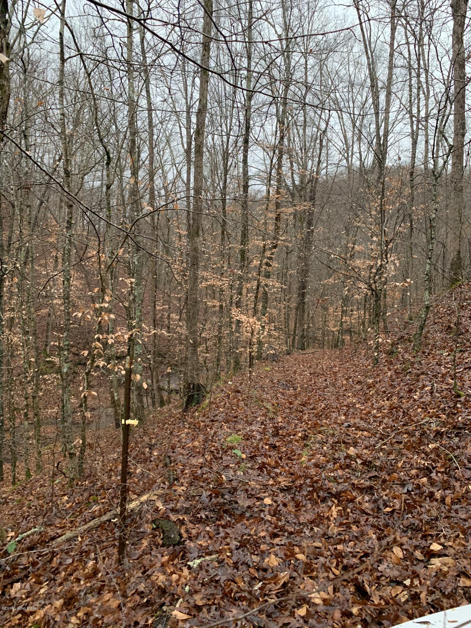 200 Willard Stone Road Breeding, KY 42715 - Photo 18 of 23 111