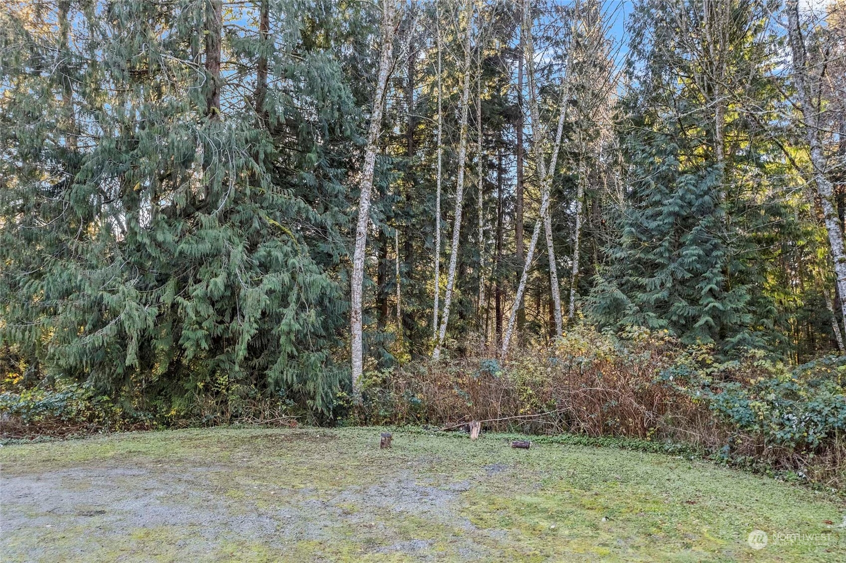 611 Manley Road Bellingham, WA 98229 - Photo 30 of 38 Gallery Image 30