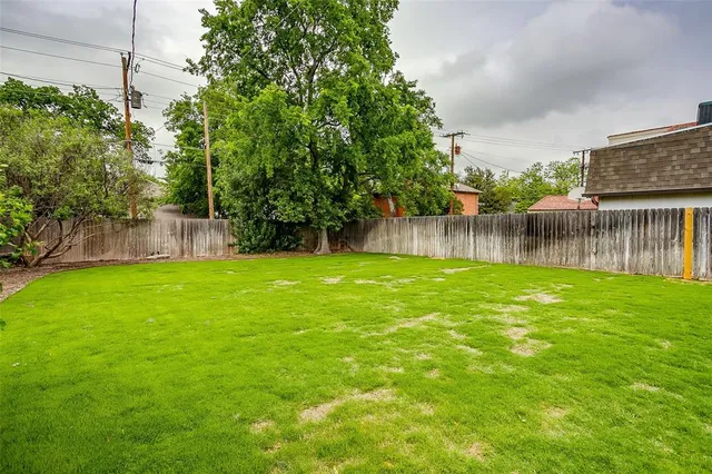 a view of a backyard with a garden and plants