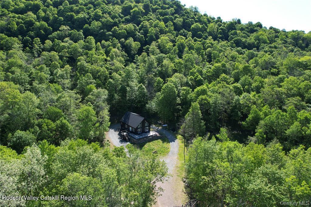 1227 Gulf Road Roscoe, NY 12776 - Photo 43 of 47 GetMedia (43)
