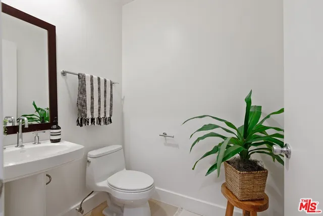 a bathroom with a potted plant and a sink