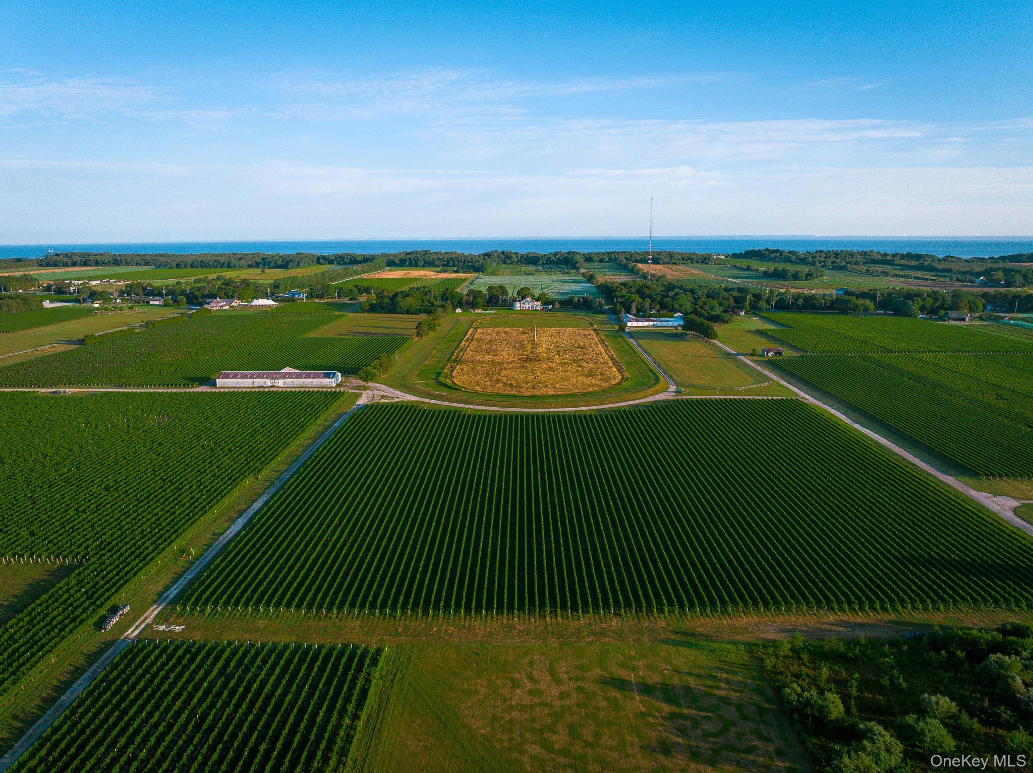 6133 Sound Avenue Riverhead, NY 11901 - Photo 36 of 42 6133 Sound Avenue