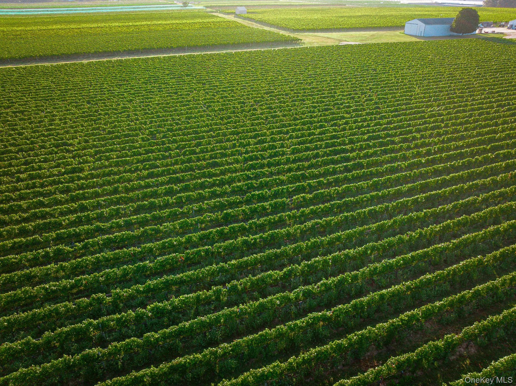 6133 Sound Avenue Riverhead, NY 11901 - Photo 38 of 42 a view of a field with an empty space