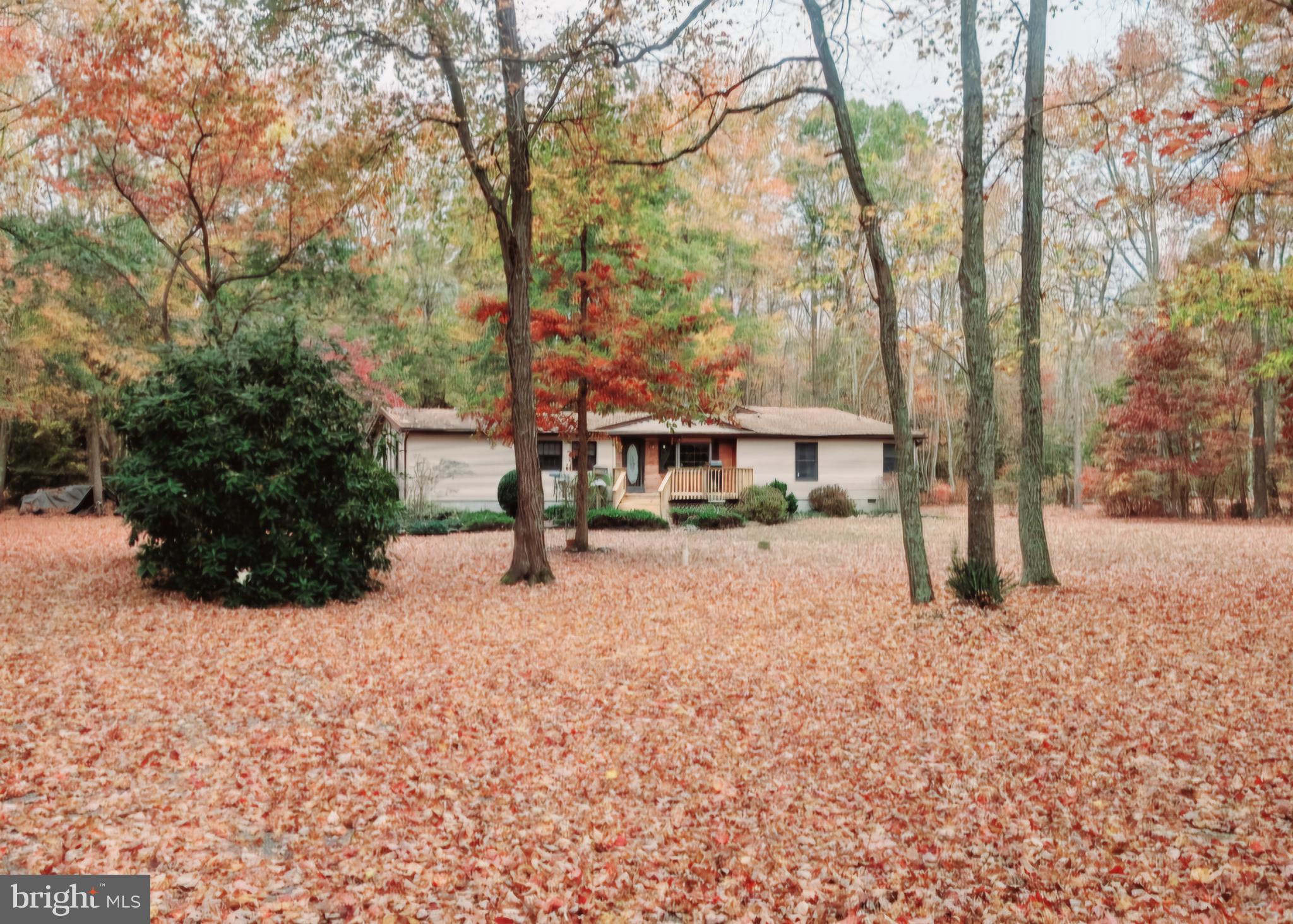 2 Dare Avenue Heislerville, NJ 08324 - Photo 1 of 22 a view of a house with a yard covered in snow