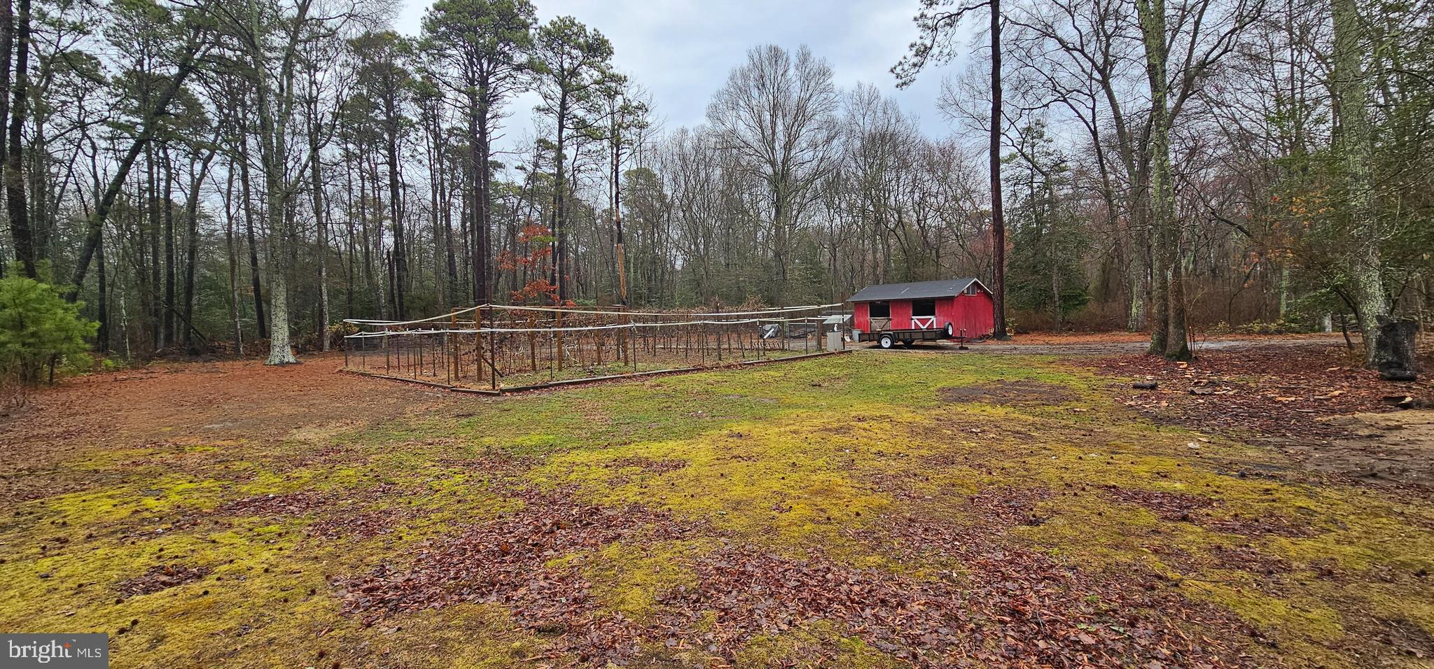 2 Dare Avenue Heislerville, NJ 08324 - Photo 3 of 22 a view of a park with large trees