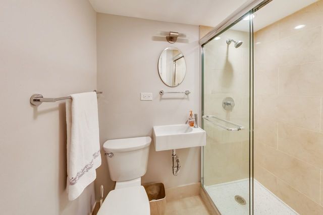 1317 Lyons Street Evanston, IL 60201 - Photo 37 of 46 a bathroom with a toilet sink and a mirror