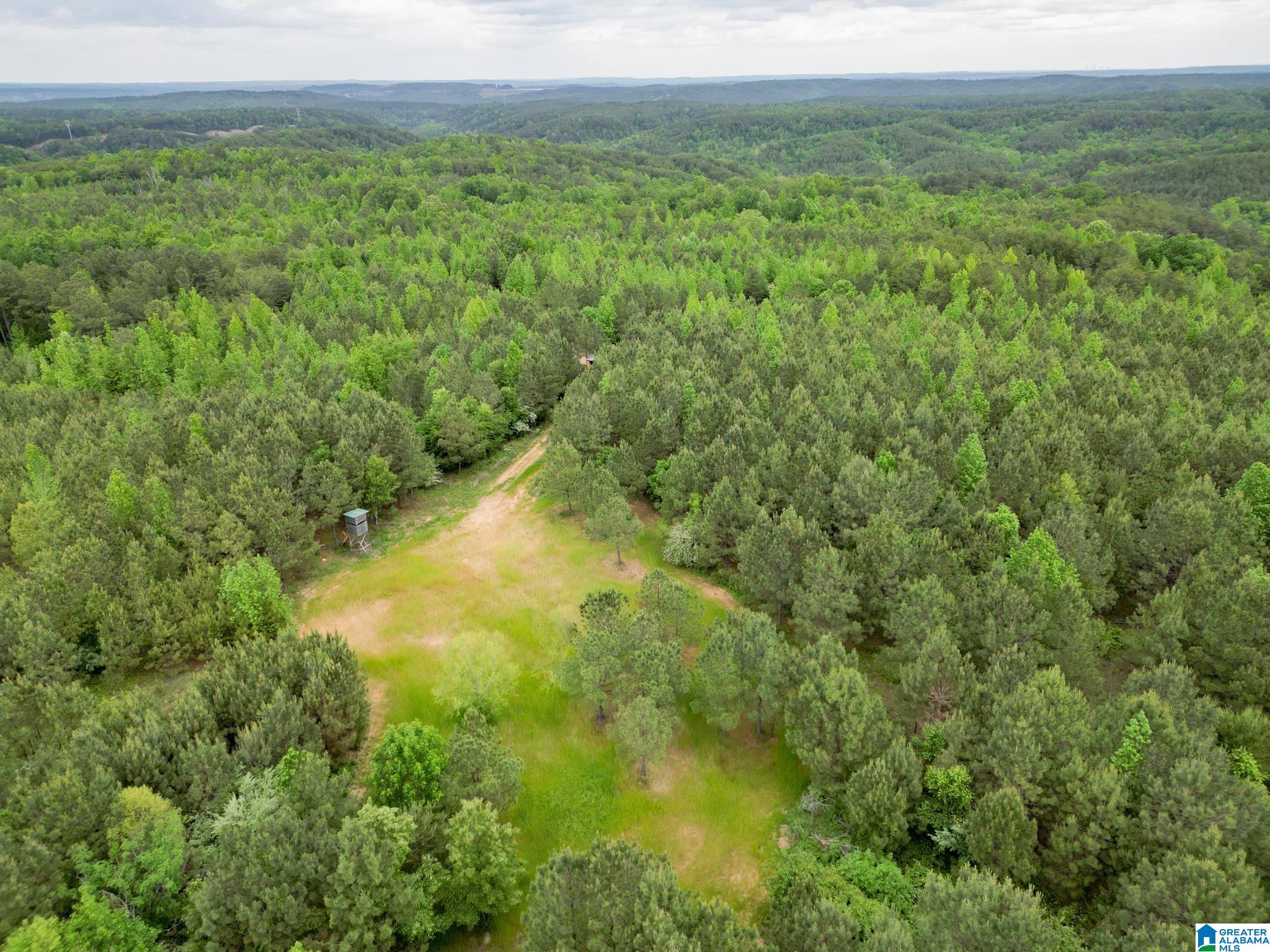 12680 Groundhog Road, Unit 1 Adger, AL 35006 - Photo 15 of 28