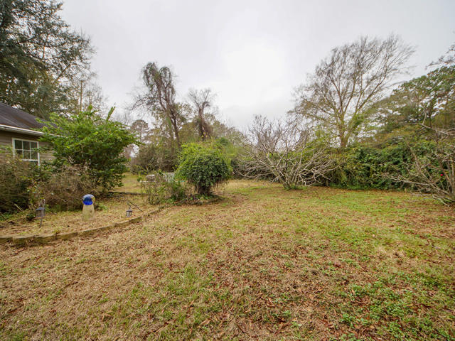 1054 Fort Johnson Road Charleston, SC 29412 - Photo 22 of 24 Backyard View 2