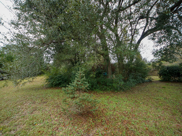 1054 Fort Johnson Road Charleston, SC 29412 - Photo 24 of 24 Private Backyard