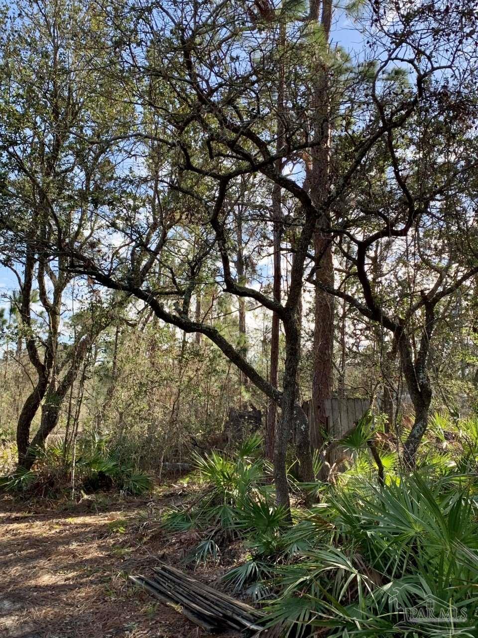 14810 Innerarity Point Road Pensacola, FL 32507 - Photo 34 of 35 Gallery Image 34