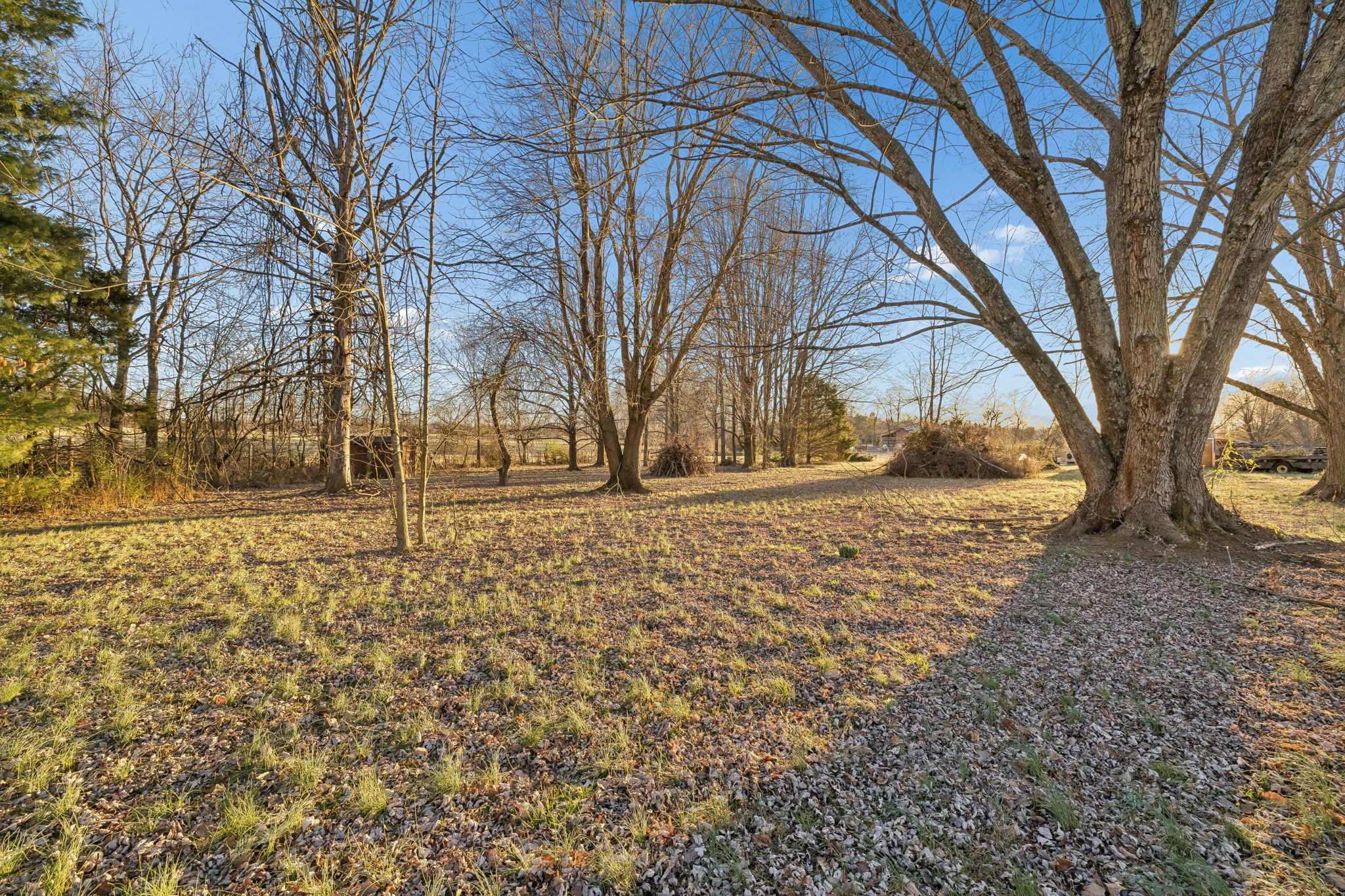 1337 Oaklawn Road Chapmansboro, TN 37035 - Photo 31 of 37