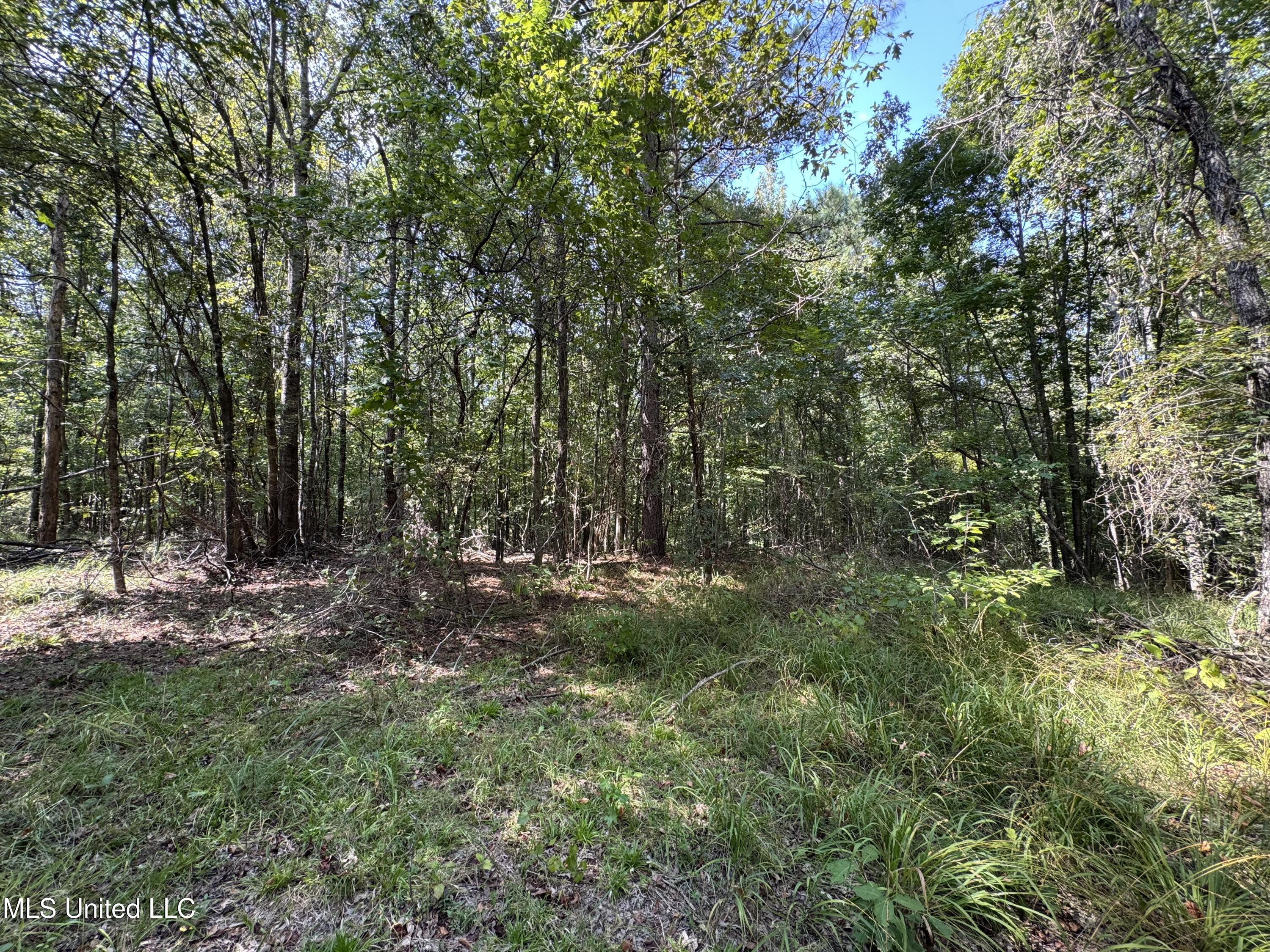 1 Old Dover Road Bentonia, MS 39040 - Photo 10 of 18 IMG_9152