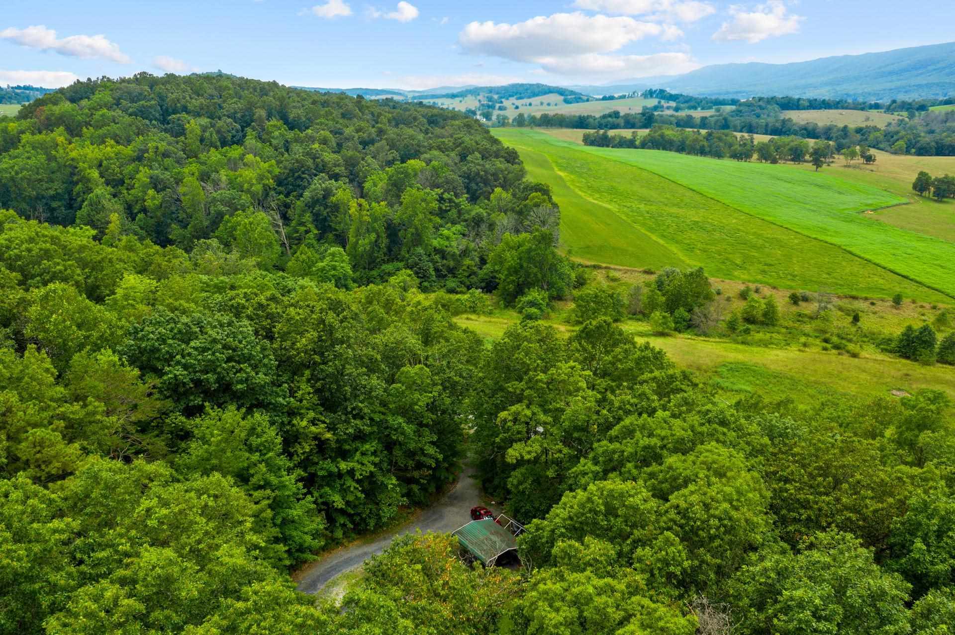 1372 Miller Farm Road Staunton, VA 24401 - Photo 4 of 27 a view of a lush green outdoor space with a lake view